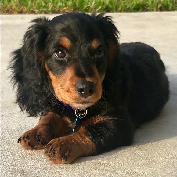 ***NOT FOR SALE*** - Picture 4 of 8